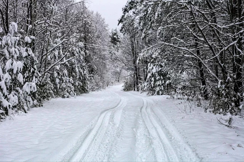 Дарога да саламянага дома Аксаны Колб. Фота: архіў Аксаны Колб